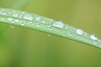 令人唏嘘！《不朽者传奇》Steam当前在线仅50人左右